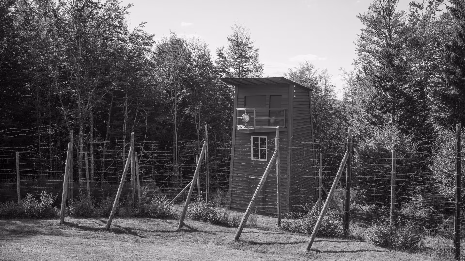 Vakttårnet og gjerdet i Natzweiler-Struthof, med skogen tett bak. Foto: Torgeir W. Sørbye